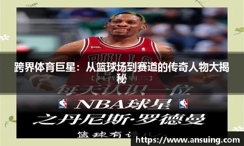 伟德bv国际体育